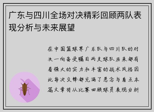 广东与四川全场对决精彩回顾两队表现分析与未来展望