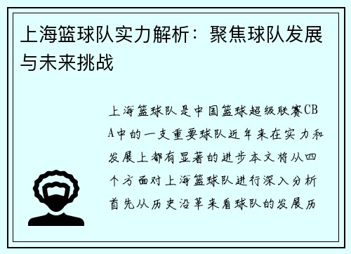 上海篮球队实力解析：聚焦球队发展与未来挑战